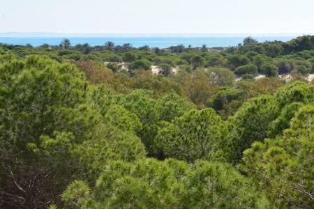 Casa Felipa, Una Estancia Unica En La Costa Blanca Guardamar del Segura Eksteriør billede